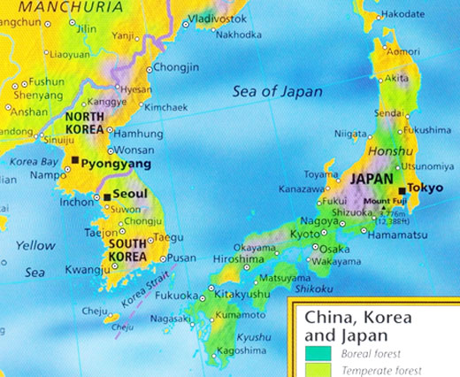 ���� ����ǥ�⿡ ���� �̹��� �˻����