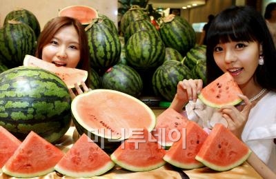 충남야채 이미지