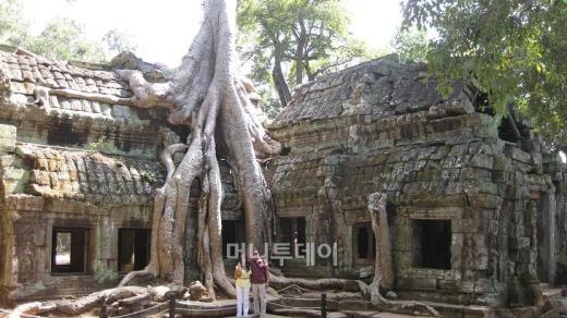 (주)여행투데이 이미지