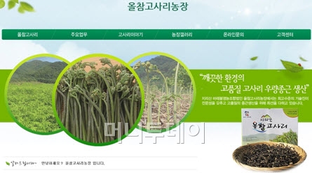 [머니투데이 브랜드대상]나물내음 물씬! 월등한 품질의 고사리 '올참고사리농장'