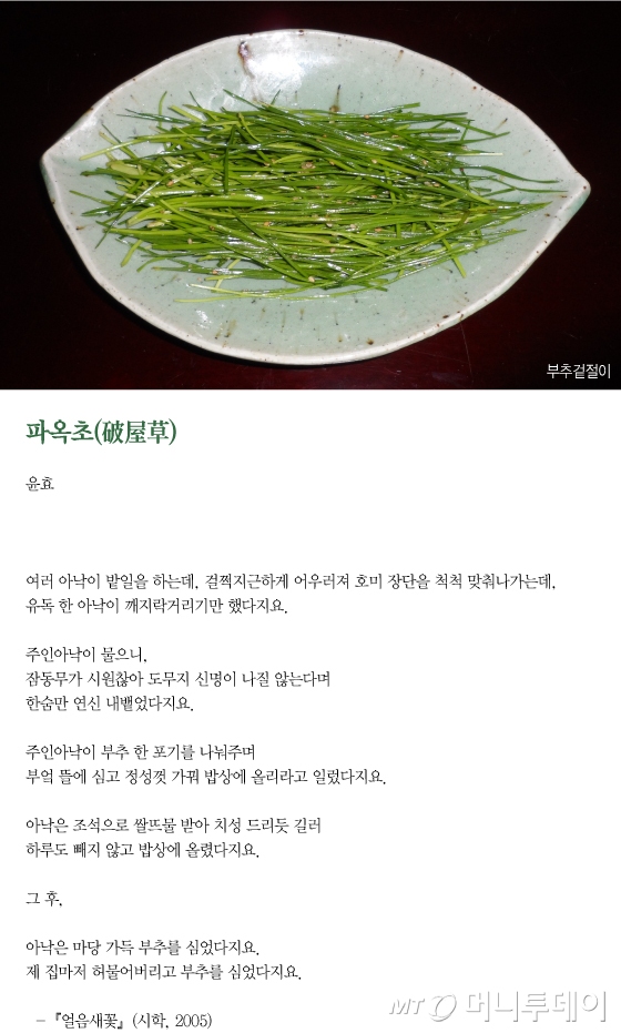 [오인태의 맛있는 詩 읽기]부숴버리고 다시 시작하자