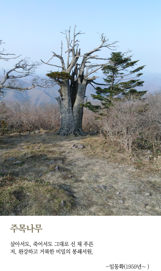 [최광임 시인이 읽어주는 디카시]-사랑이 불안할 때