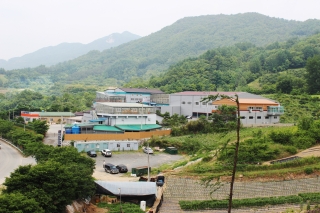 대동고려삼, “세계 속 한국 홍삼 수요증가, 장기적 안목 필요”