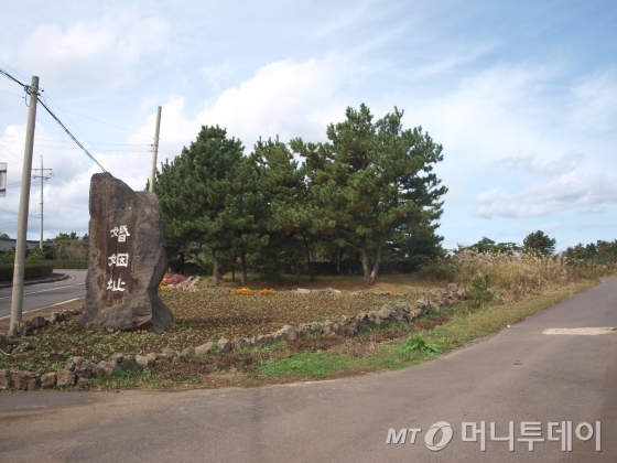 제주 제2공항에 '울고 웃는' 주민들…땅주인은 일본인?