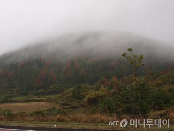 땅값 7년새 30배↑…투기꾼들 '탐내는 탐라'