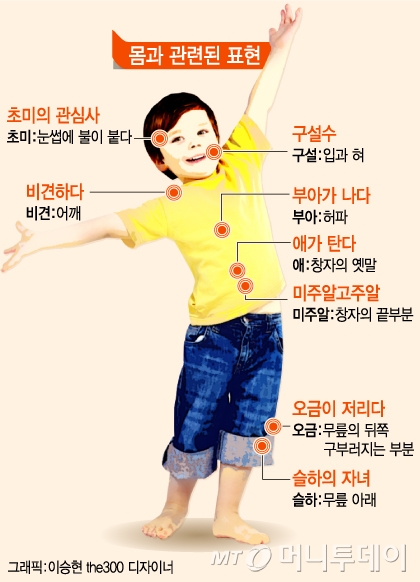 오금이 저리다… '오금'은 어디일까?
