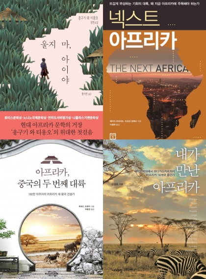 지난해 하반기부터 잇따라 출간된 아프리카 관련 책. 아프리카를 다양한 측면에서 조망하는 이론서부터 문학, 여행기까지 장르도 다양하다. /사진=교보문고