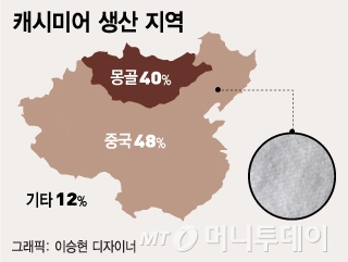 한 벌에 100만원하는 '캐시미어 코트'… 실상은?