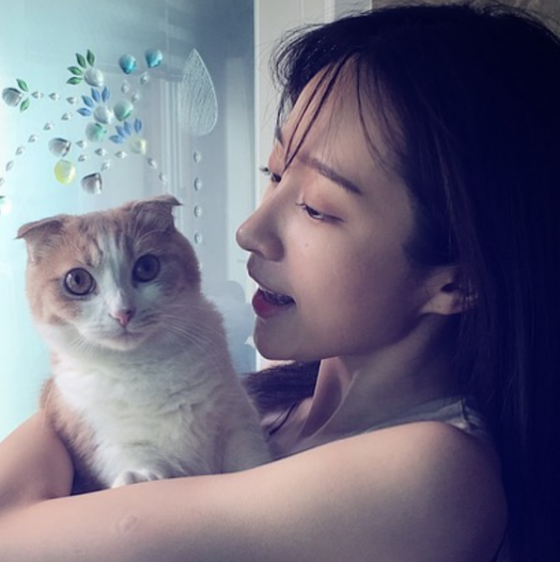 하니쇼핑 이미지