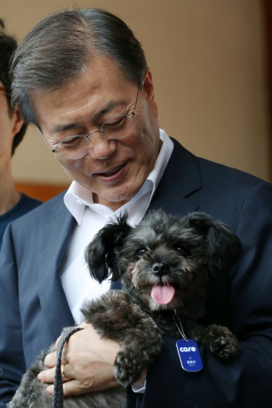 26일 문재인 대통령이 청와대에서 동물보호단체 '케어' 관계자들로 부터 유기견 '토리'를 입양받고 있다. (청와대) 2017.7.26/뉴스1<br>