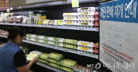 국내산 계란에 맹독성 살충제 피프로닐과 비펜트린 성분이 검출돼 전국적으로 유통이 일시 중지된 가운데 서울의 한 SSM(기업형슈퍼마켓)에서 식용란 살충제 검사결과 증명서가 발급된 계란을 판매하고 있다./사진=머니투데이 포토DB