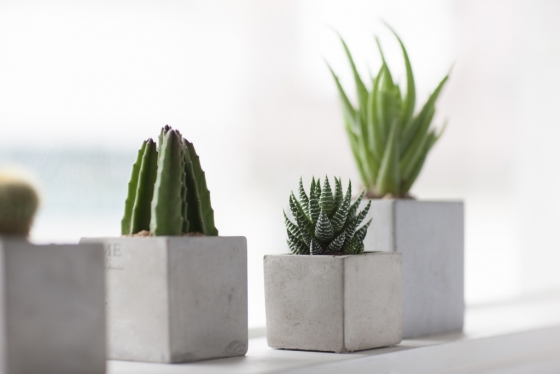 ê³µê¸°ì²­ì ì ëí ì´ë¯¸ì§ ê²ìê²°ê³¼