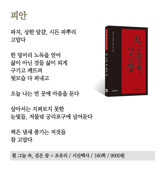 시인의집 이미지