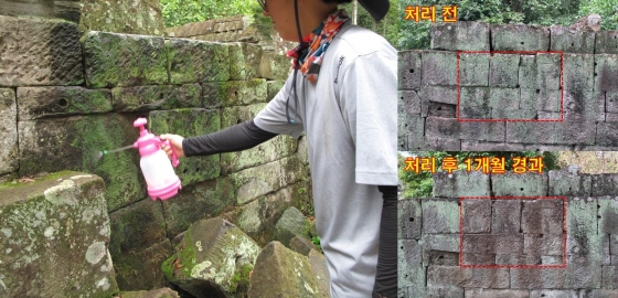 이끼낀 성곽에 뿌렸더니…석조문화재 천연보존제 개발