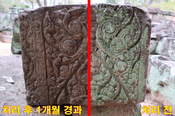 이끼낀 성곽에 뿌렸더니…석조문화재 천연보존제 개발