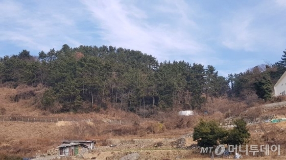 감정가의 21배가 넘는 가격에 팔린 남해군 송정리 산284-3 임야 전경. /사진제공=지지옥션