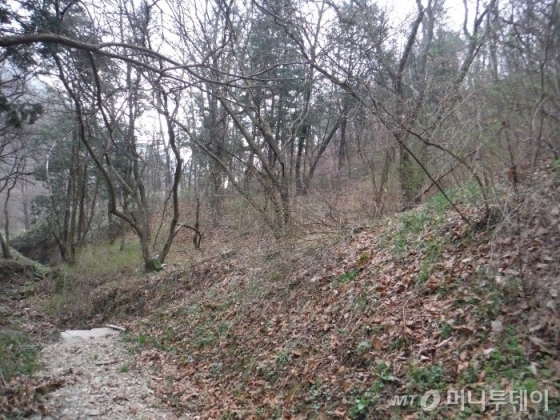감정가 26.7배에 낙찰된 전남 화순군 이서면 도석리 산99(임야) 전경. /사진제공=지지옥션