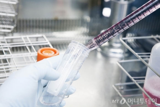 GC녹십자셀이 면역세포를 이용한 항암제를 연구하고 있는 모습. /사진제공=GC녹십자셀