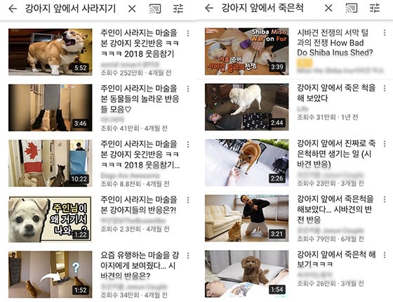 유튜브 검색 화면 캡처.