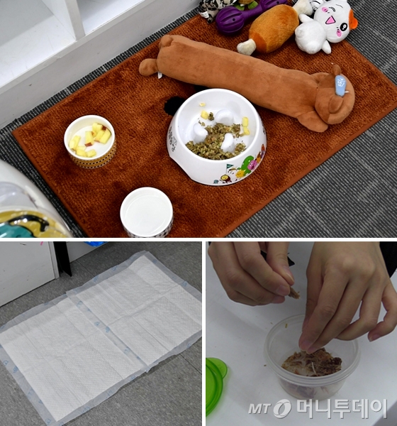 사무실에 마련된 설대리의 자리와 화장실의 모습. 그리고 직원들이 자유롭게 배식할 수 있는 간식통(위쪽부터 시계 반대방향으로) /사진=김소영 인턴기자
