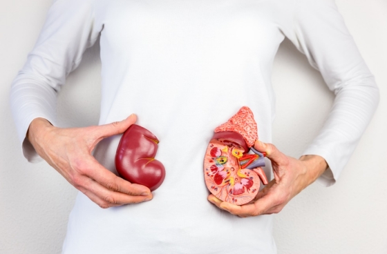 /사진= 이미지투데이