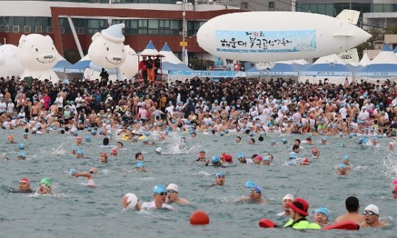 31회 해운대북극곰축제 현장 이미지/사진제공=해운대북극곰축제 홈페이지