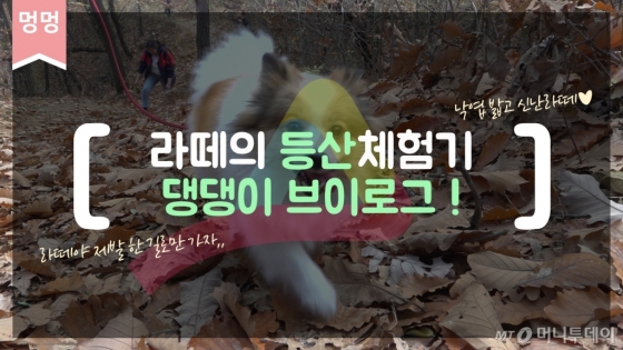 야트막한 동네 뒷산이지만 등산은 등산.