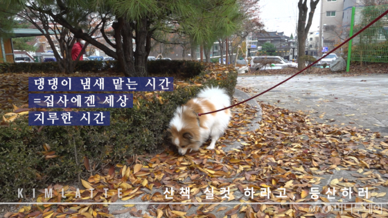 등산할 때 만큼은 세상 소중한 시간.