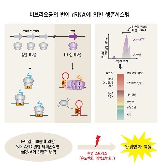 /자료=한국연구재단