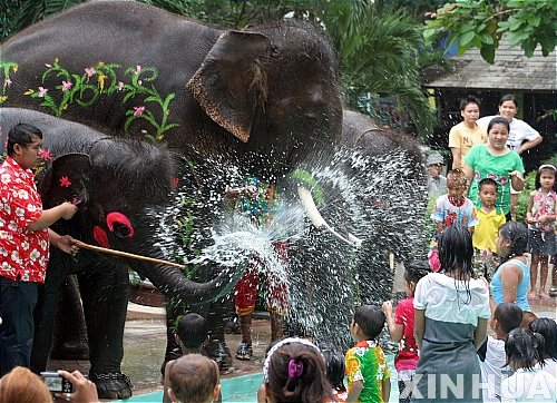 【방콕(태국)=신화/뉴시스】2011년 4월11일(현지시간) 태국 방콕에서 태국 전통 새해맞이축제인 송크란 축제를 이틀 앞두고 코끼리들이 관광객들을 향해 물을 뿜고 있다.