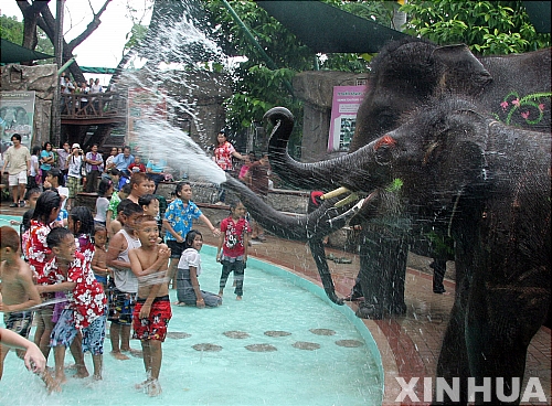 【방콕(태국)=신화/뉴시스】2011년4월11일(현지시간) 태국 방콕의 한 동물원에서 태국 전통 새해맞이축제인 송크란 축제를 이틀 앞두고 코끼리들이 관람객들을 향해 물을 뿜고 있다.