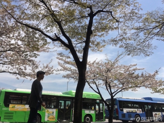 여의나루역 1번 출구로 나와 걸었다. 여의도공원 근처 벤치에 스마트폰을 놓고 사진을 찍었다. 여기까지 올 수 있었던 건 도와준 사람 덕분이다./사진=남형도 기자 셀카