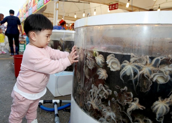ëª½ì°í¬í­ ì£¼ê¾¸ë¯¸ ìì°ë¬¼ ì¶ì&nbsp;ìì ì£¼ê¾¸ë¯¸ë¥¼ ë³´ë ìì´/ì¬ì§ì&nbsp;ê³µ=íìêµ°ì²­