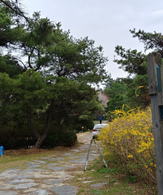 문을 열면 소로가 나 있고 이 길을 따라가면서 총 6개의 건물이 들어서 있다./사진=이미호 기자·오문영 인턴기자