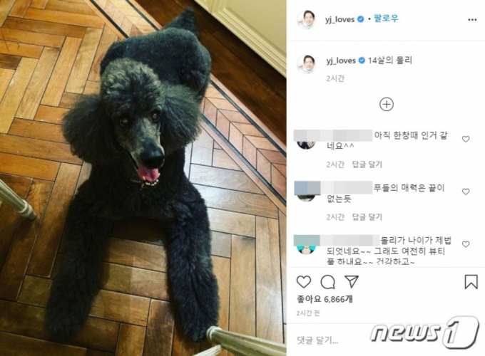 정용진 신세계그룹 부회장이 자신의 인스타그램에 올린 반려견 &#039;몰리&#039;의 모습/사진= 뉴스1