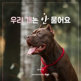 "�츮 ���� �� �����"