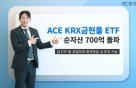  ȣ ١'ACE KRX' ETF, ڻ 700 