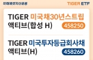 ̷, ̱ ä  TIGER ETF 2 ű 
