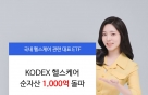 Ｚڻ 'KODEX ｺɾ' ETF, ڻ 1000 