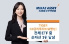 'TIGER CDݸKIS(ռ) ETF' ڻ 163308