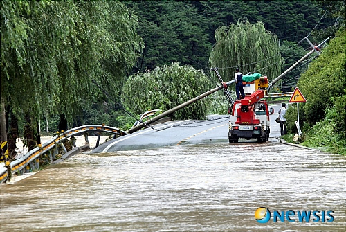 [사진]폭우에 섬진강 범람, 넘어진 전신주