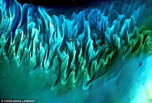 바하마군도의 해초, 720km 상공에선 어떻게 보일까