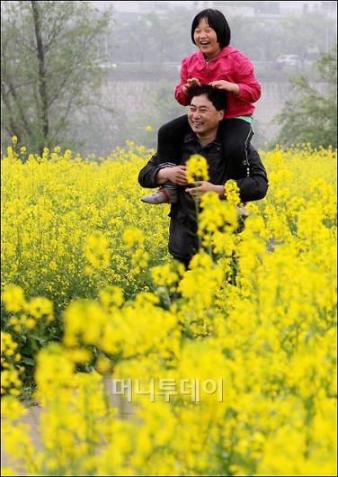 [사진]사랑스런 딸과 유채꽃 길 산책