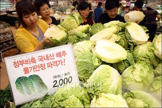 [사진]롯데마트 '배추 한포기 2,000원' 판매