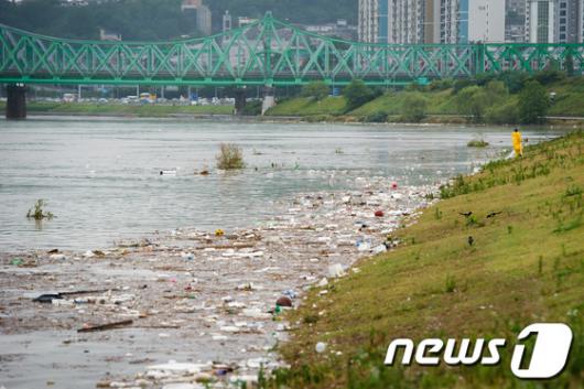 [사진]불어난 한강, 떠밀려 온 쓰레기