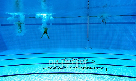 [사진]훈련하는 다이빙 선수등