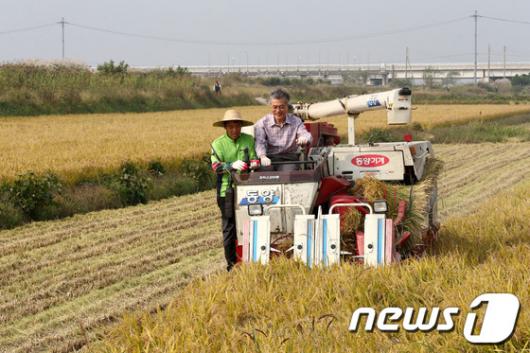 [사진]농민일손 돕기 나선 문재인 후보