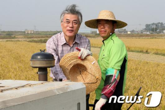 [사진]농민일손 돕기 나선 문재인 후보