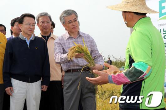 [사진]쌀 유기농 재배단지 방문한 문재인