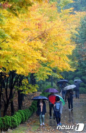 [사진]가을비에 젖은 캠퍼스